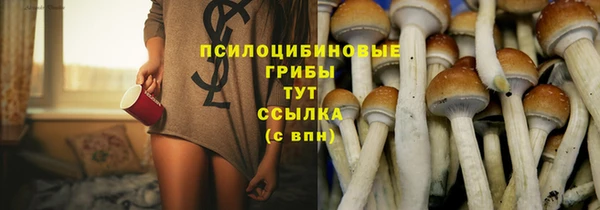 мяу мяу мука Белокуриха