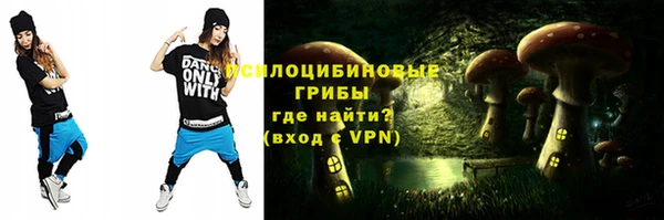 гидра Белоозёрский