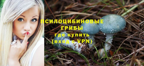 гидра Белоозёрский