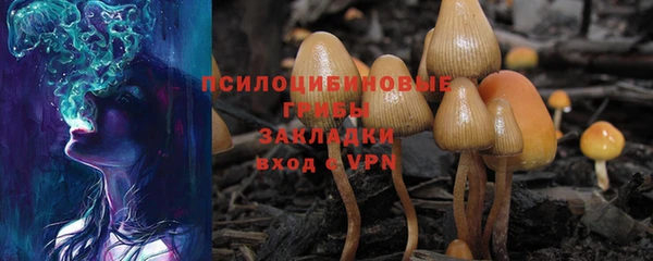 шишки Богородск